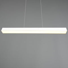Duoline Track Lighting - Paros Suspended Bar Light