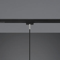 Duoline Track Lighting - Modern Matt Black & Wood Drop Light