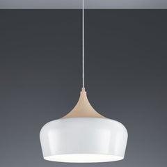 Nabab - Metal Contemporary Lighting Pendant