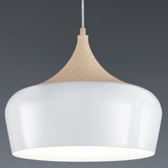 Nabab - Metal Contemporary Lighting Pendant