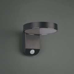 Trio Lighting Posadas LED Solar Wall Light