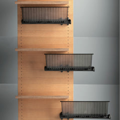 Pull Out Shoe Storage Boxes For Wardrobe Interiors