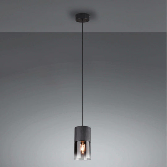 Trio Robin Single Head Modern Pendant