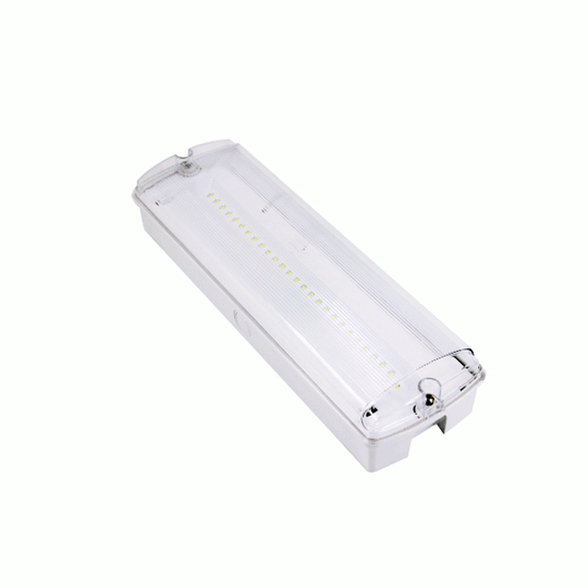 3Hr LED Maintained Bulkhead